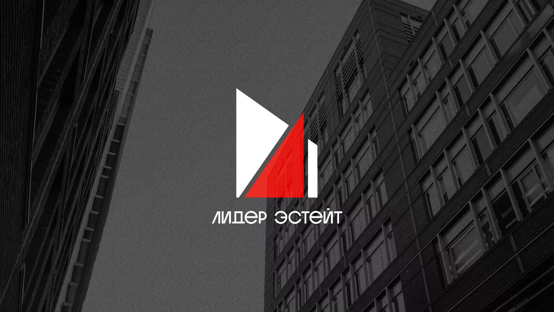 Сделали логотип для агентства недвижимости «Лидер Эстейт» в Киренске